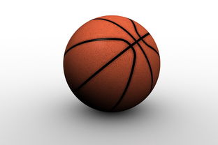 华体会体育hth-中国篮球职业俱乐部青训人才培养路径探索，篮球青训队招聘条件